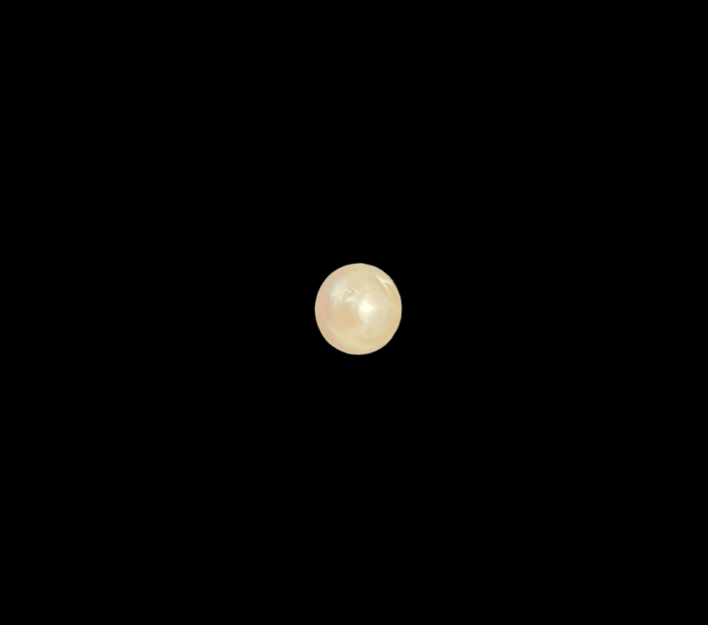 Pearl #4002